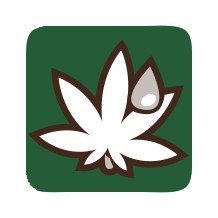 CBDSHOP